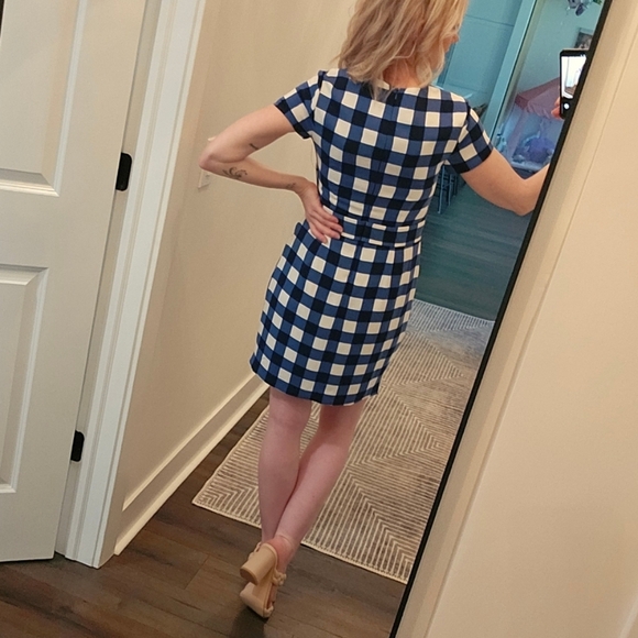 NWT Cynthia Steffe Blue and White Checkered Dress - Size 0 - Picture 4 of 16